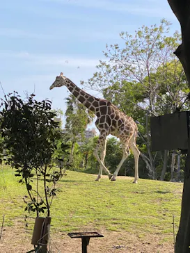 天王寺動物園に投稿された画像（2023/4/23）