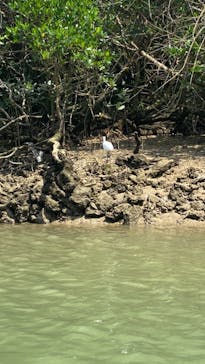 比謝川カヤックに投稿された画像（2023/4/23）