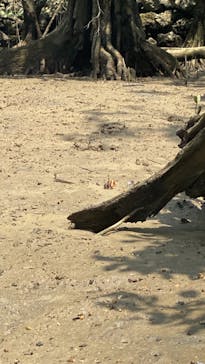 比謝川カヤックに投稿された画像（2023/4/23）