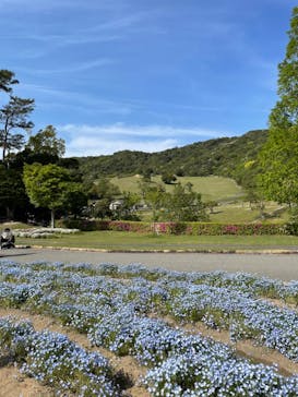 淡路ファームパーク イングランドの丘に投稿された画像（2023/4/23）