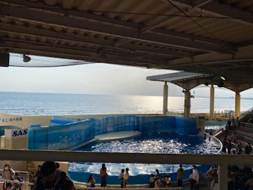 新江ノ島水族館に投稿された画像（2023/4/23）