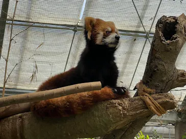 神戸どうぶつ王国に投稿された画像（2023/4/23）