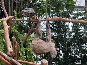 神戸どうぶつ王国に投稿された画像（2023/4/23）