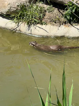 神戸どうぶつ王国に投稿された画像（2023/4/23）