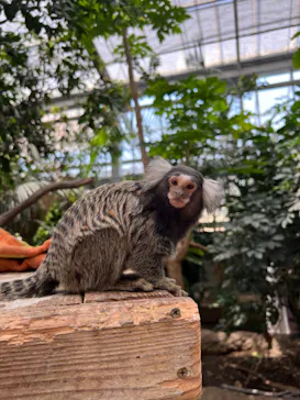 神戸どうぶつ王国に投稿された画像（2023/4/23）