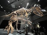 特別展「恐竜博2023」に投稿された画像（2023/4/23）