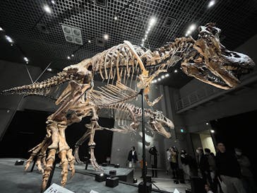 特別展「恐竜博2023」に投稿された画像（2023/4/23）