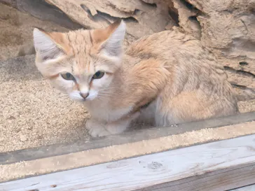 神戸どうぶつ王国に投稿された画像（2023/4/23）