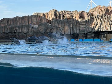名古屋港水族館に投稿された画像（2023/4/23）
