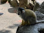 伊豆シャボテン動物公園に投稿された画像（2023/4/23）
