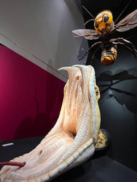 特別展「毒」に投稿された画像（2023/4/23）