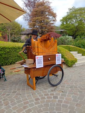 河口湖 音楽と森の美術館に投稿された画像（2023/4/23）