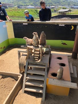 淡路ファームパーク イングランドの丘に投稿された画像（2023/4/23）