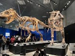特別展「恐竜博2023」に投稿された画像（2023/4/23）