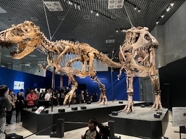 特別展「恐竜博2023」に投稿された画像（2023/4/23）