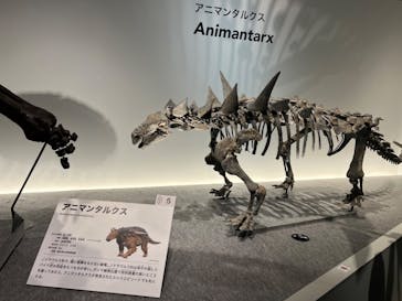 特別展「恐竜博2023」に投稿された画像（2023/4/23）