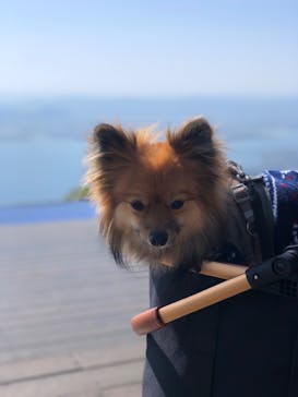 びわ湖バレイに投稿された画像（2023/4/23）