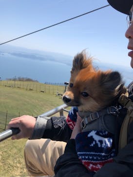 びわ湖バレイに投稿された画像（2023/4/23）