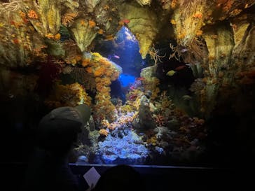 サンシャイン水族館に投稿された画像（2023/4/23）