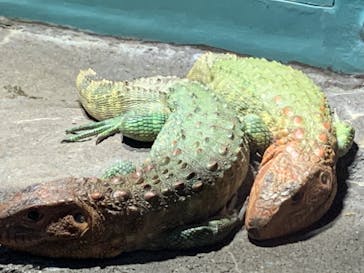 サンシャイン水族館に投稿された画像（2023/4/23）