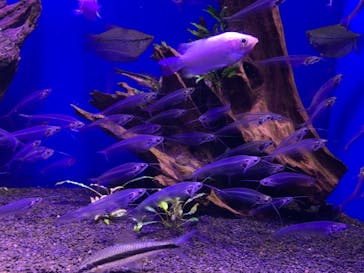 サンシャイン水族館に投稿された画像（2023/4/23）