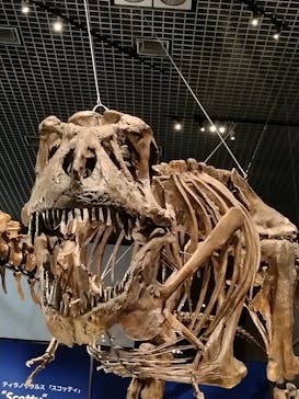 特別展「恐竜博2023」に投稿された画像（2023/4/23）