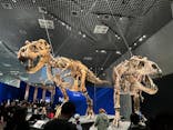 特別展「恐竜博2023」に投稿された画像（2023/4/23）