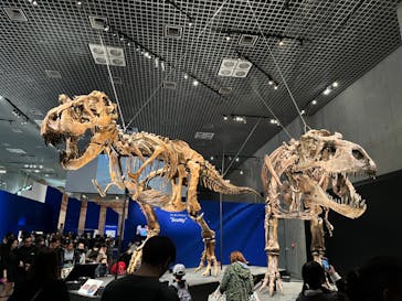 特別展「恐竜博2023」に投稿された画像（2023/4/23）