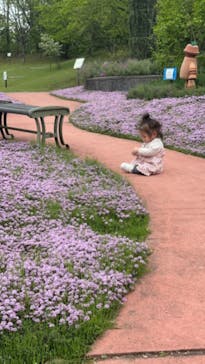 とっとり花回廊に投稿された画像（2023/4/23）