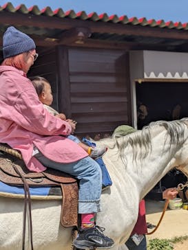 ワールド牧場に投稿された画像（2023/4/23）