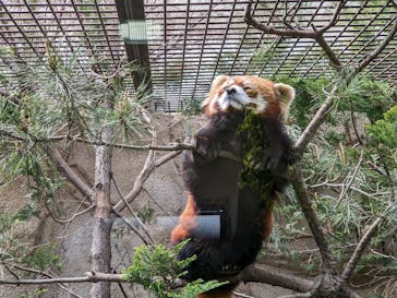 那須どうぶつ王国に投稿された画像（2023/4/23）