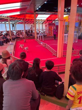 IPCわんわん動物園に投稿された画像（2023/4/23）