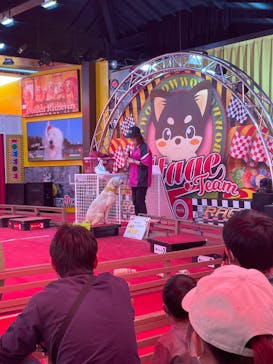 IPCわんわん動物園に投稿された画像（2023/4/23）