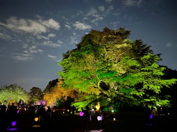 NAKED 桜の新宿御苑 2023に投稿された画像（2023/4/23）