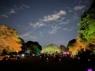 NAKED 桜の新宿御苑 2023に投稿された画像（2023/4/23）