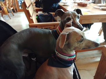 わんダフルネイチャーヴィレッジに投稿された画像（2023/4/23）