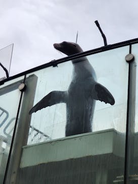 サンシャイン水族館に投稿された画像（2023/4/23）