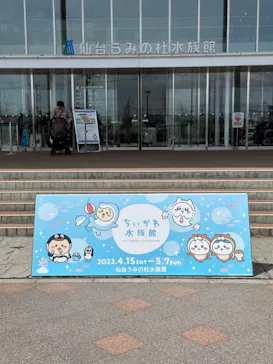仙台うみの杜水族館に投稿された画像（2023/4/23）