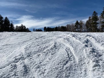 志賀高原焼額山スキー場に投稿された画像（2023/4/23）
