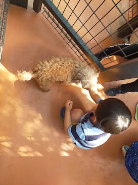 世界の名犬牧場に投稿された画像（2023/4/23）