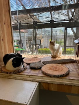 那須どうぶつ王国に投稿された画像（2023/4/23）