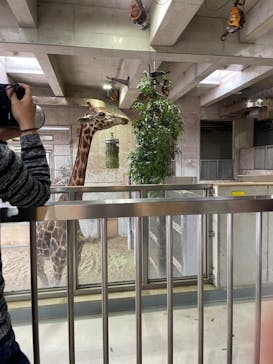 よこはま動物園ズーラシアに投稿された画像（2023/4/23）