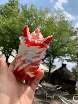 まかいの牧場に投稿された画像（2023/4/23）