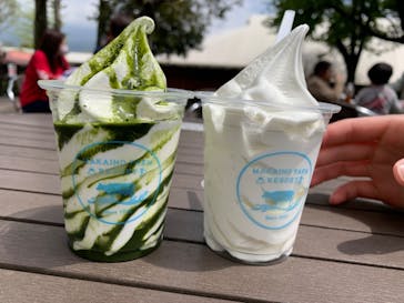 まかいの牧場に投稿された画像（2023/4/23）