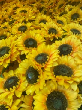 ゴッホ・アライブ神戸に投稿された画像（2023/4/23）