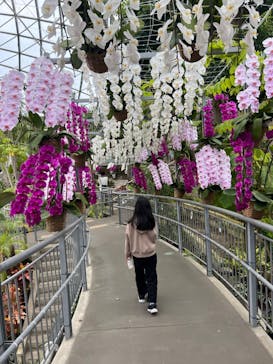 とっとり花回廊に投稿された画像（2023/4/23）