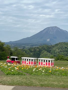 とっとり花回廊に投稿された画像（2023/4/23）
