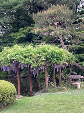 新宿御苑に投稿された画像（2023/4/23）