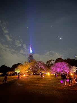 NAKED 桜の新宿御苑 2023に投稿された画像（2023/4/23）