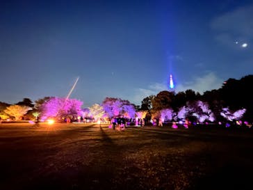 NAKED 桜の新宿御苑 2023に投稿された画像（2023/4/23）